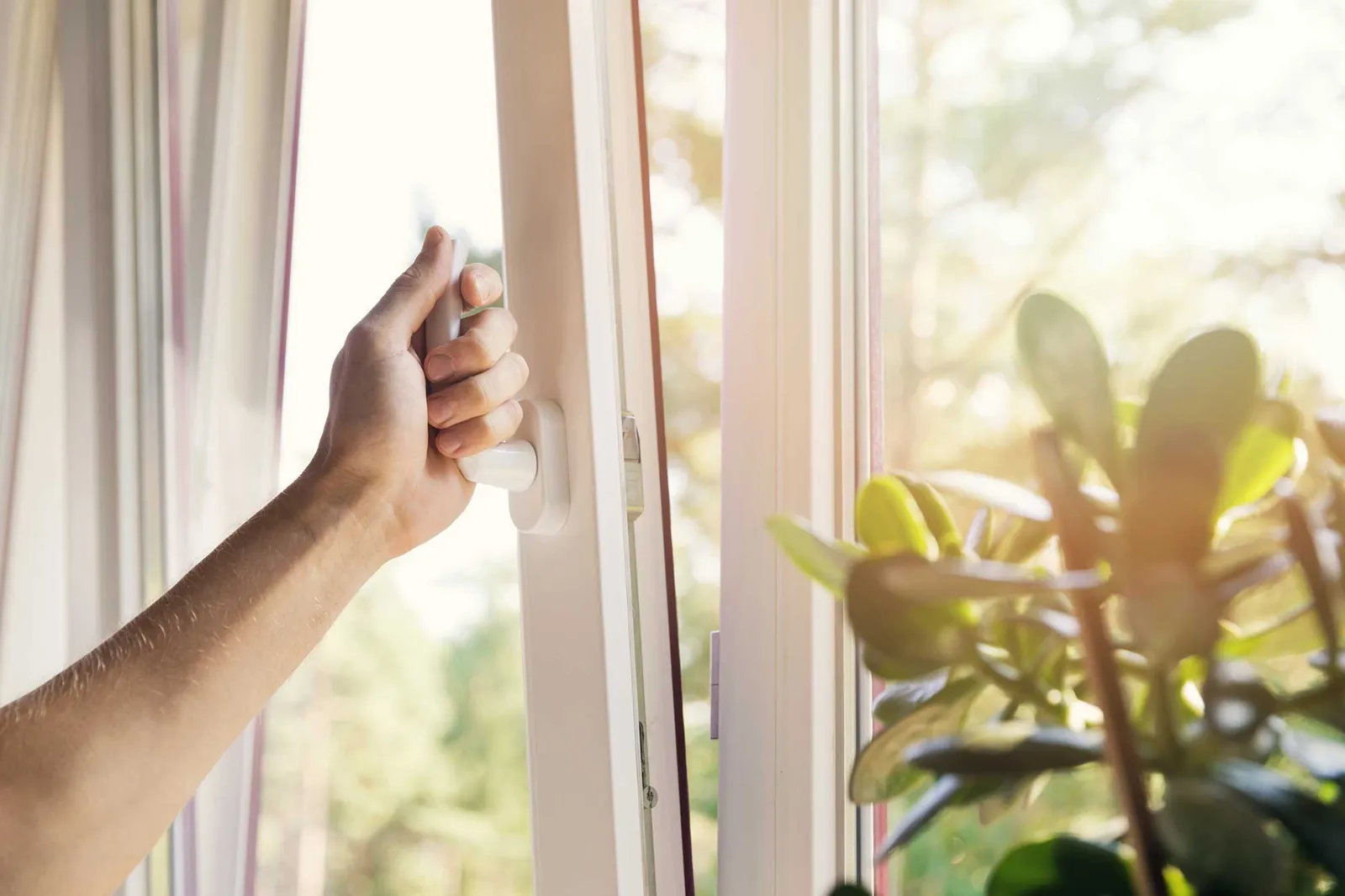 Window-Repairs